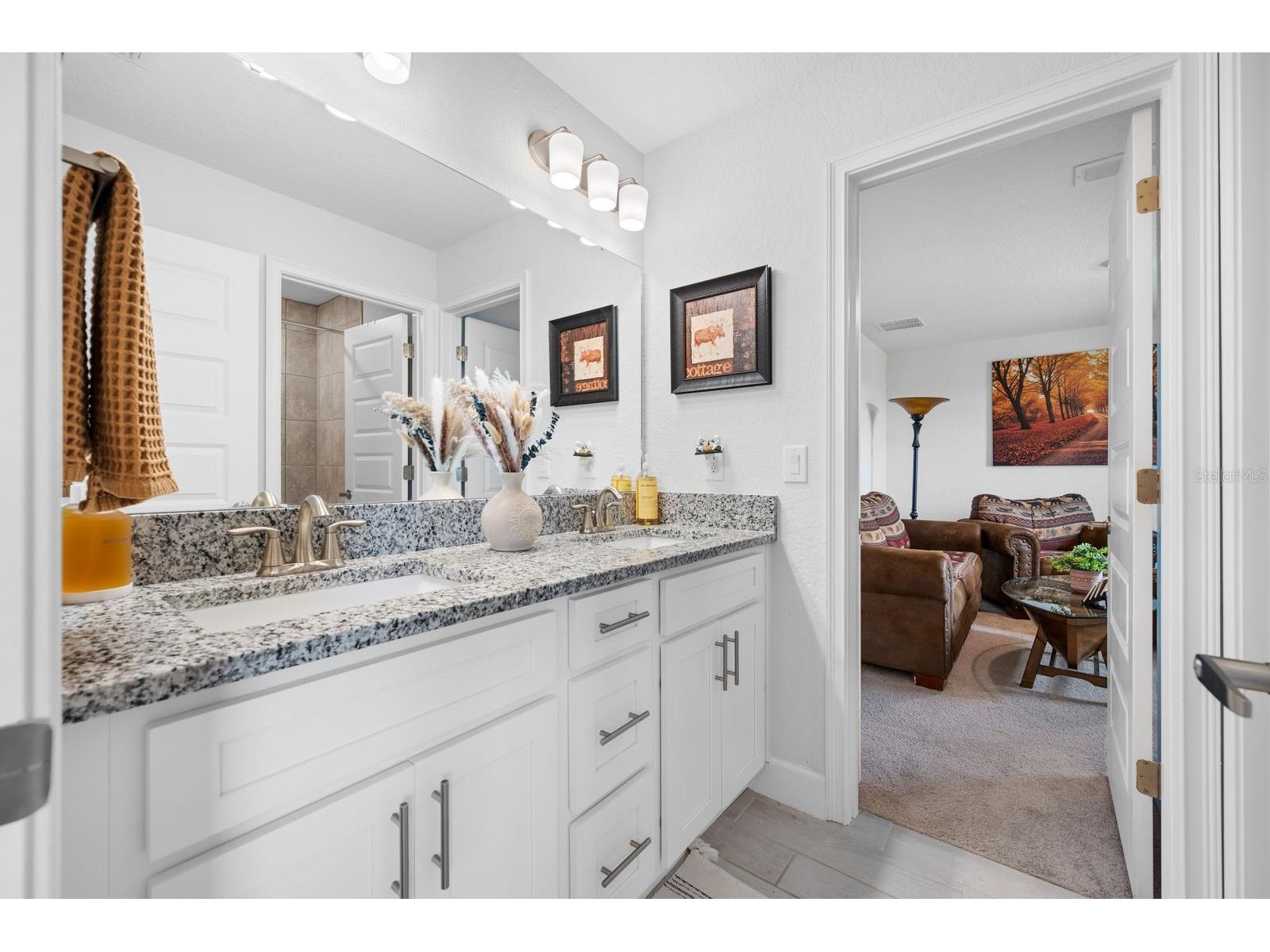 6107 164th Avenue E Parrish FL 34219 A4697324 image46