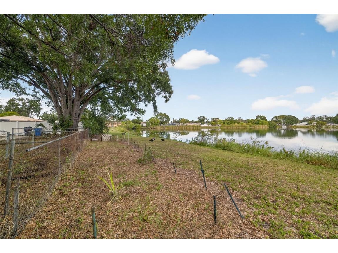 6107 Cole Drive Tampa FL 33634 TB8456812 image46