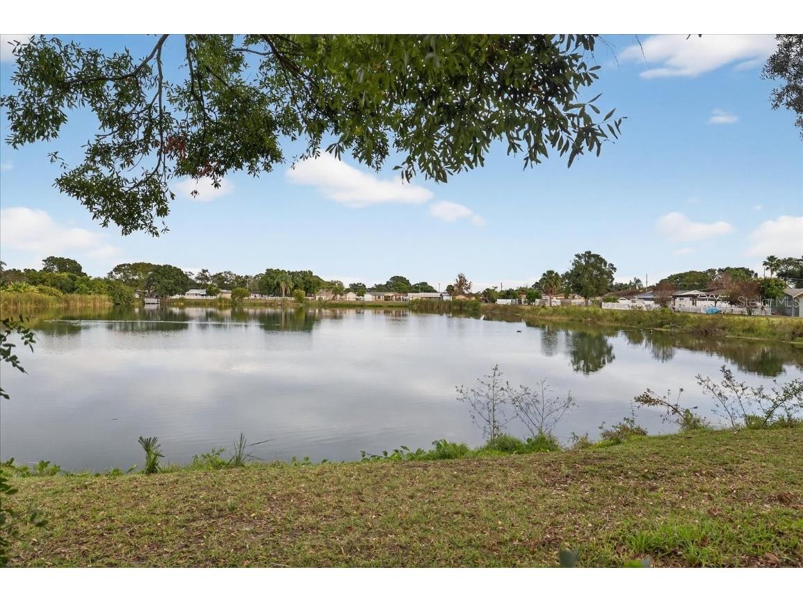6107 Cole Drive Tampa FL 33634 TB8456812 image47
