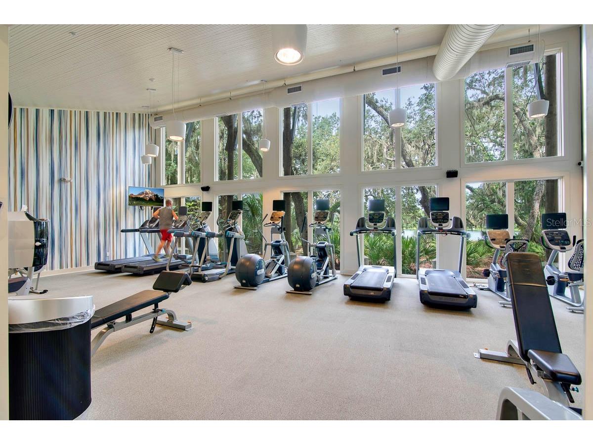 6107 Gannetdale Drive Lithia FL 33547 TB8460659 image29