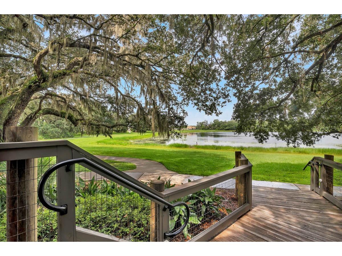 6107 Gannetdale Drive Lithia FL 33547 TB8460659 image33