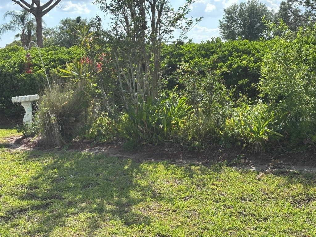 6107 Grand Oaks Drive SE Winter Haven FL 33884 P4934363 image42