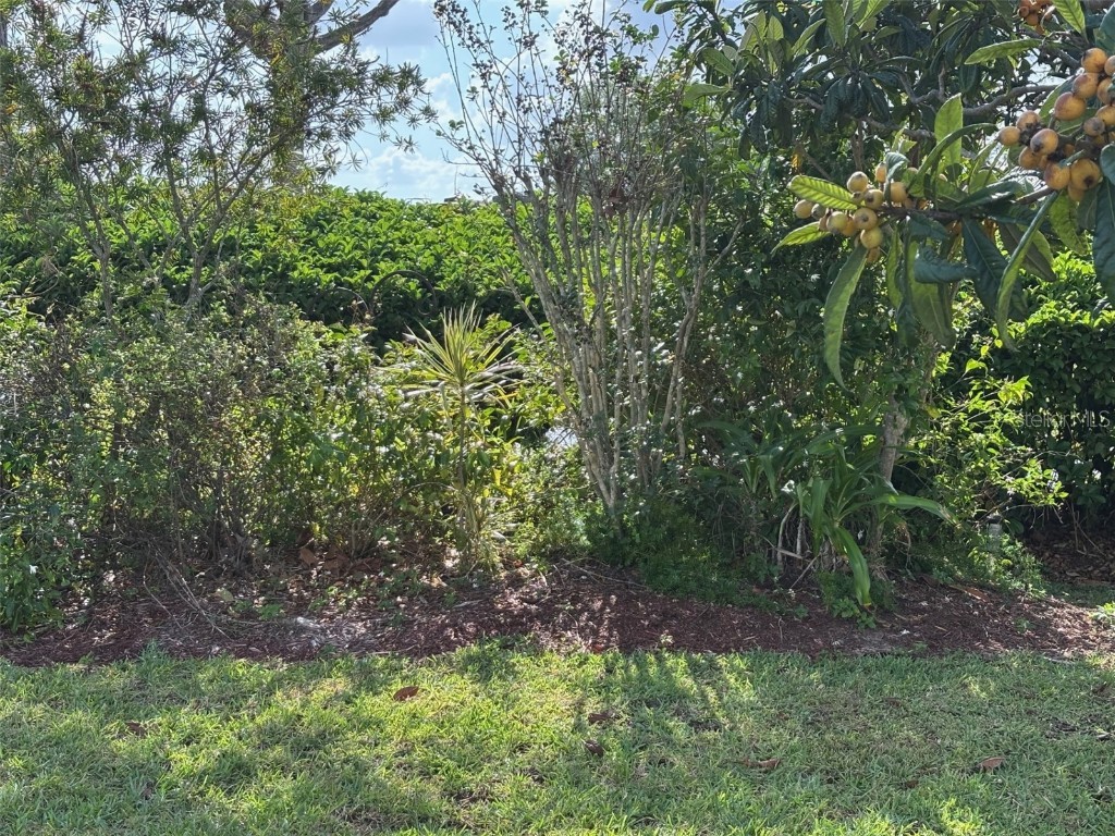 6107 Grand Oaks Drive SE Winter Haven FL 33884 P4934363 image44