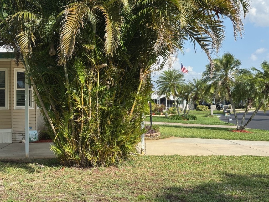 6107 Grand Oaks Drive SE Winter Haven FL 33884 P4934363 image47