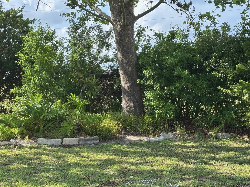 6107 Grand Oaks Drive SE Winter Haven FL 33884 P4934363 image50