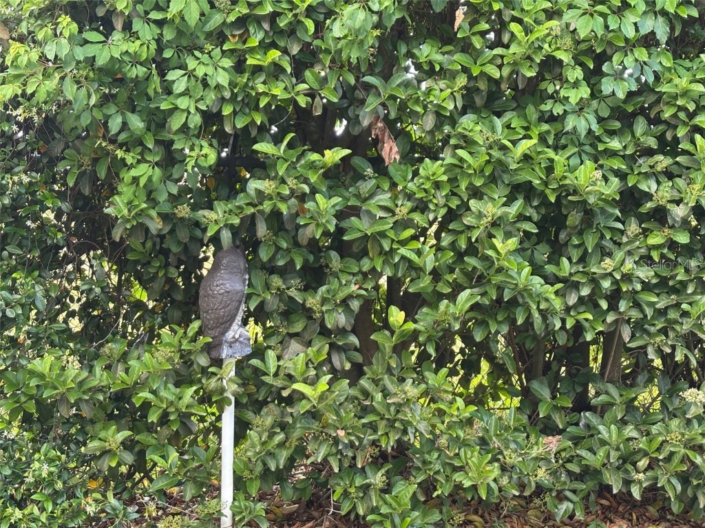 6107 Grand Oaks Drive SE Winter Haven FL 33884 P4934363 image56