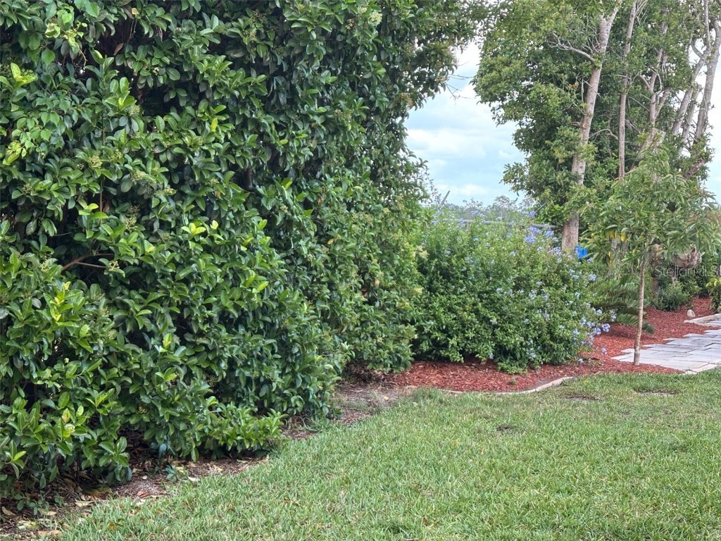 6107 Grand Oaks Drive SE Winter Haven FL 33884 P4934363 image57