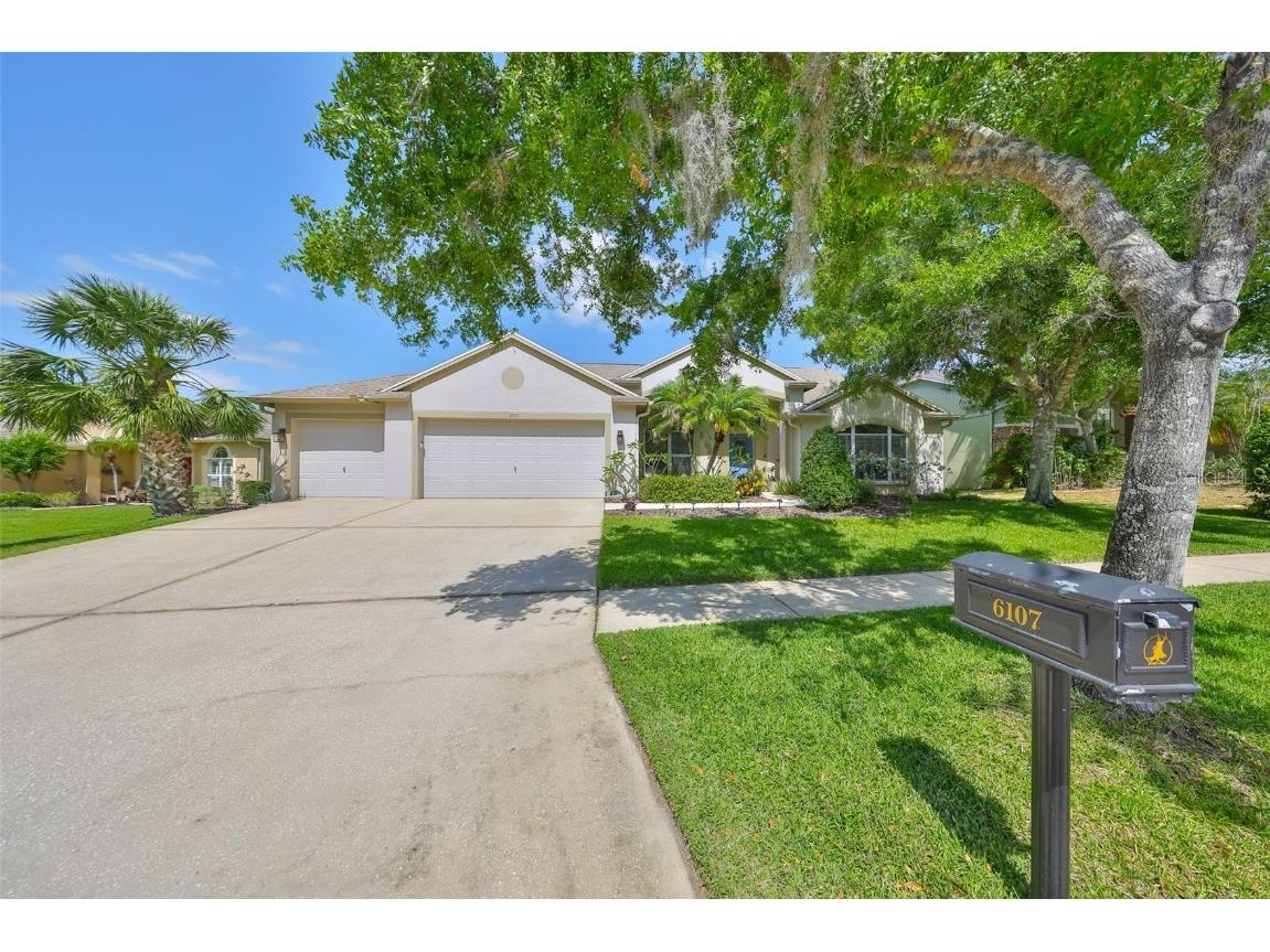 6107 Heroncrest Court Lithia FL 33547 TB8381439 image1