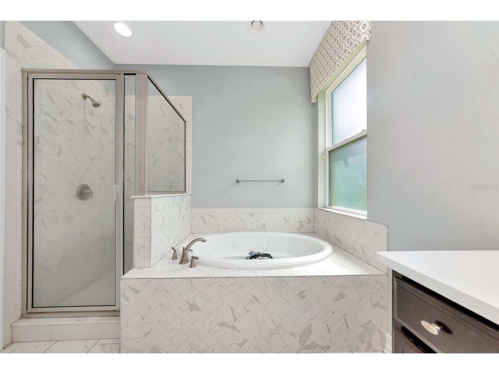 6107 Horse Mill Place Palmetto FL 34221 A4687490 image17