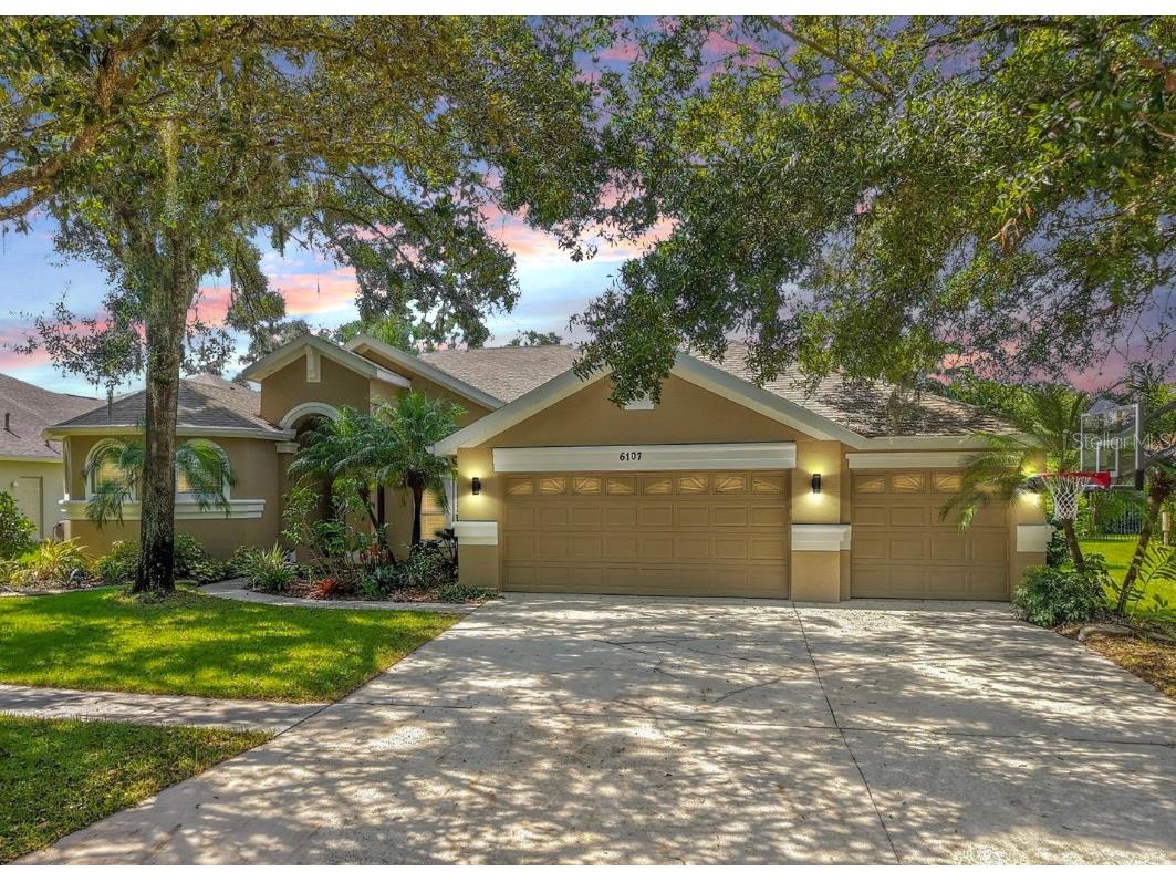 6107 Ibispark Drive Lithia FL 33547 TB8432380 image1