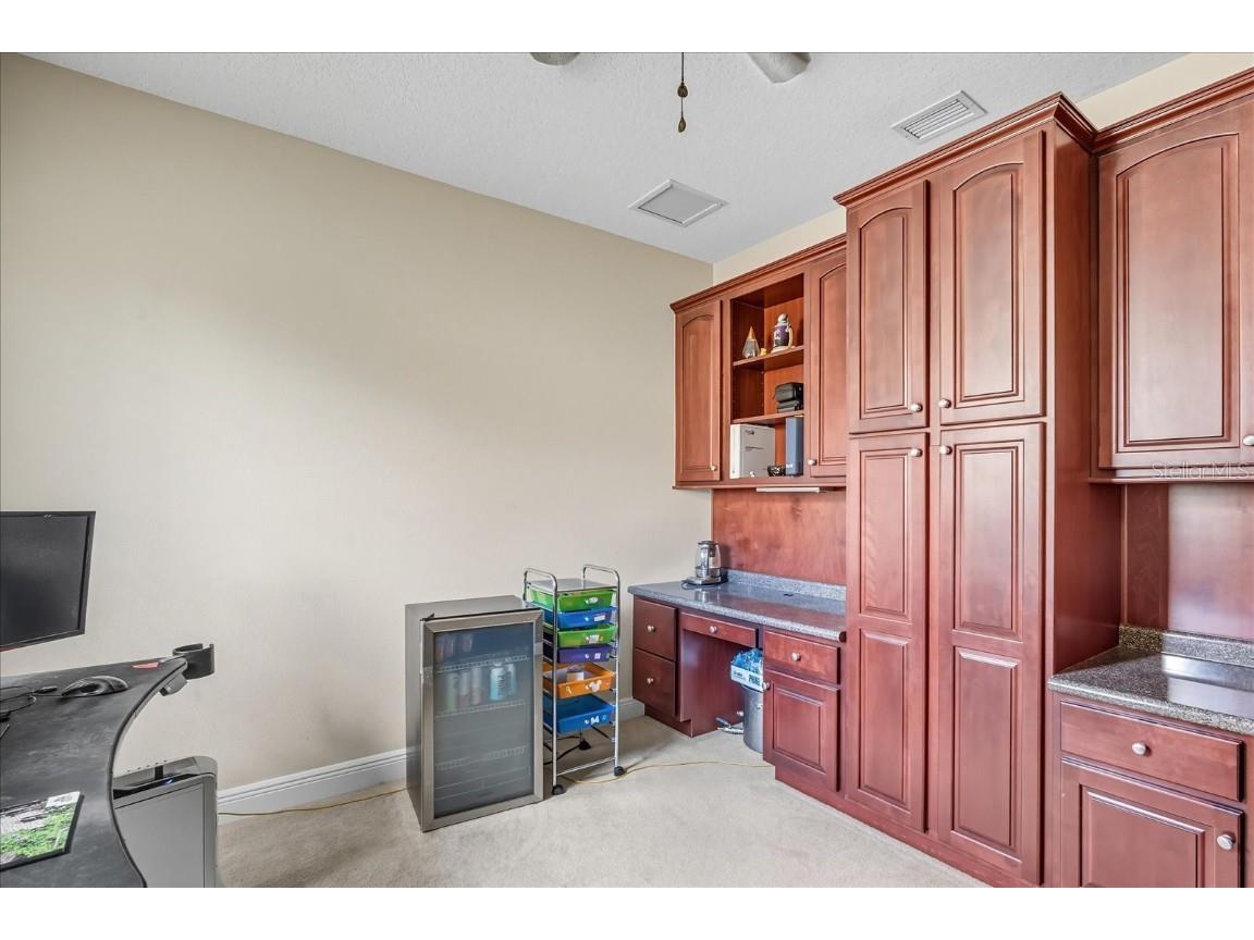 6107 Ibispark Drive Lithia FL 33547 TB8432380 image23