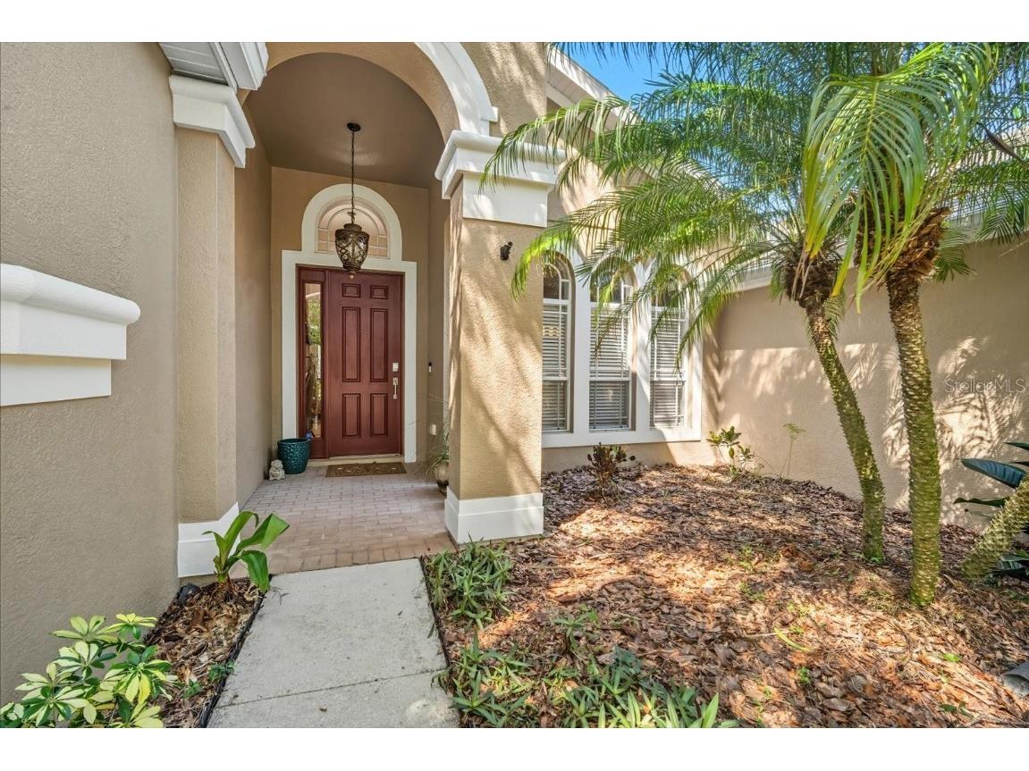 6107 Ibispark Drive Lithia FL 33547 TB8432380 image5