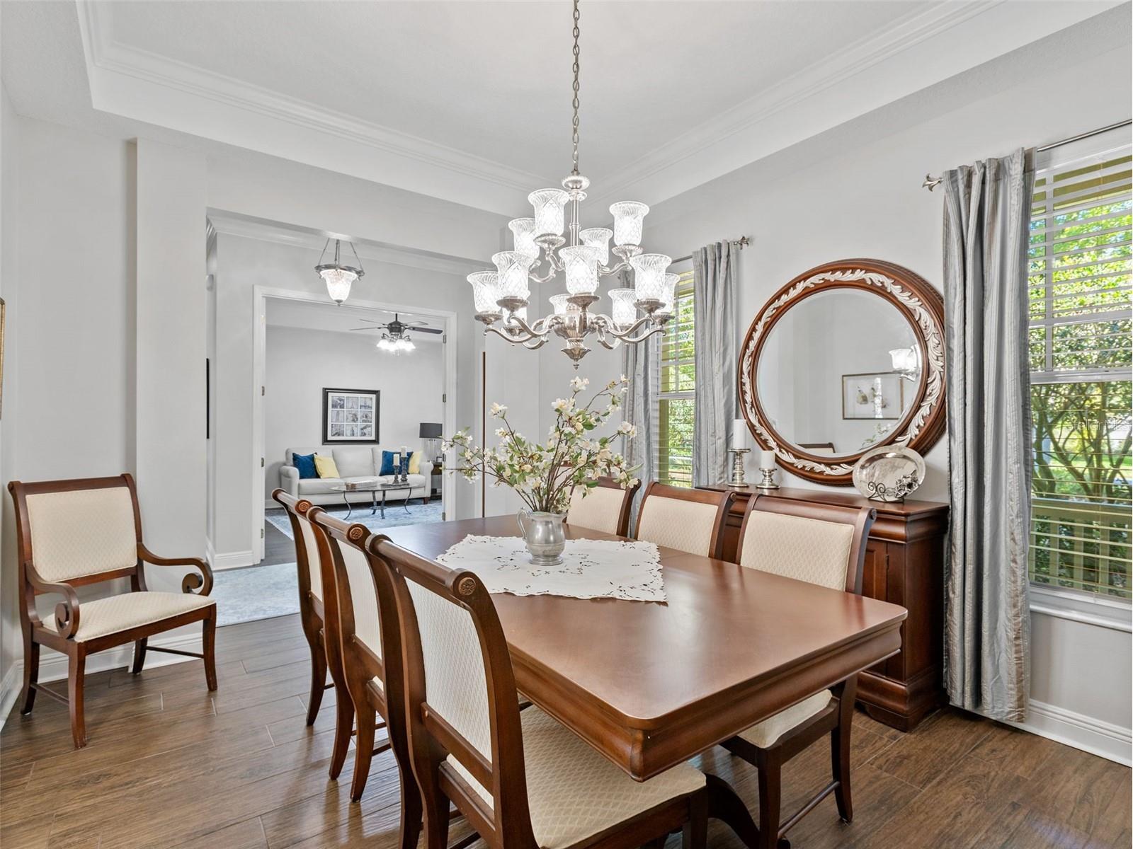 6107 Kingbird Manor Drive Lithia FL 33547 TB8490317 image14