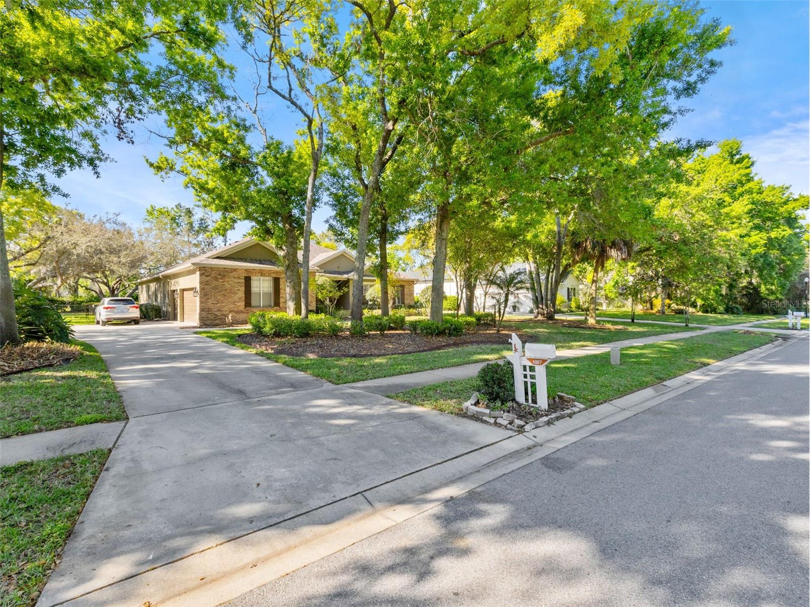 6107 Kingbird Manor Drive Lithia FL 33547 TB8490317 image3
