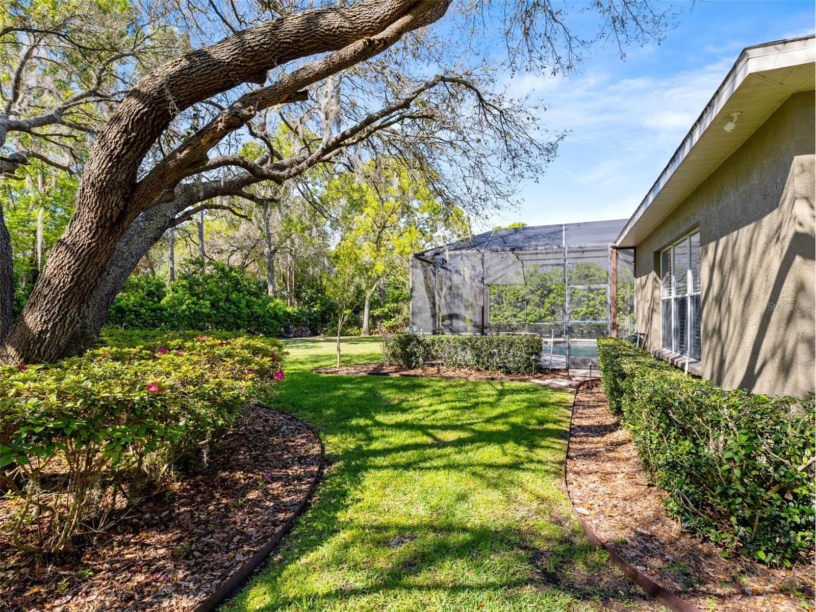 6107 Kingbird Manor Drive Lithia FL 33547 TB8490317 image46
