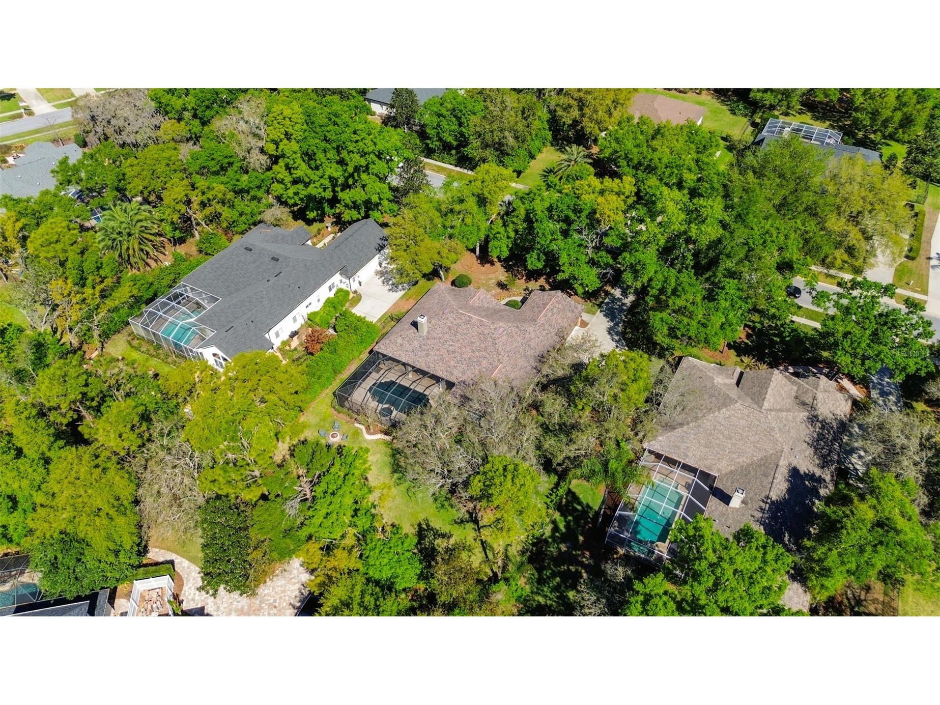 6107 Kingbird Manor Drive Lithia FL 33547 TB8490317 image50