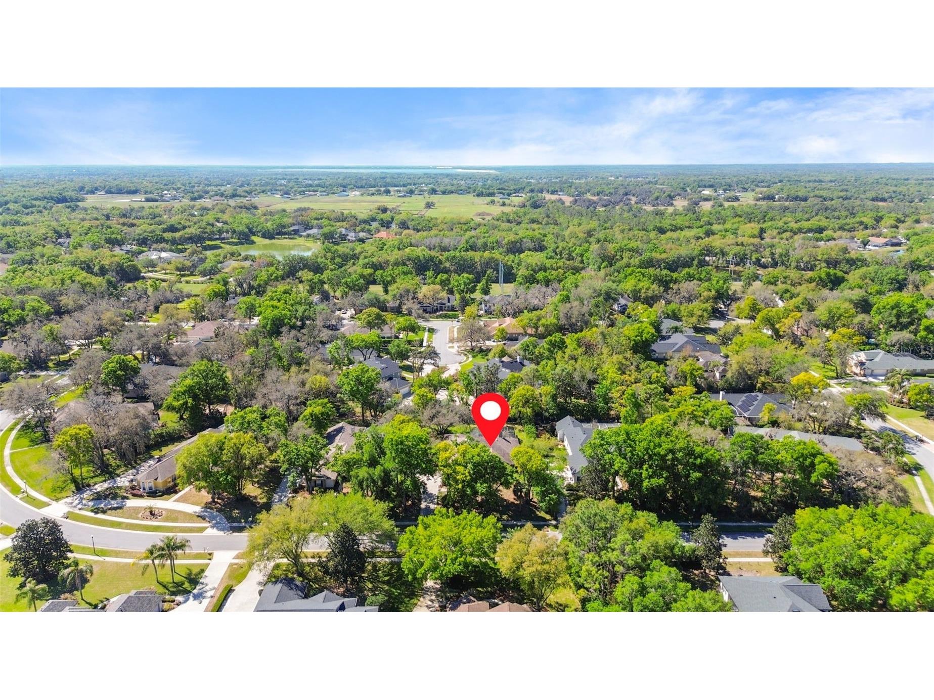 6107 Kingbird Manor Drive Lithia FL 33547 TB8490317 image51