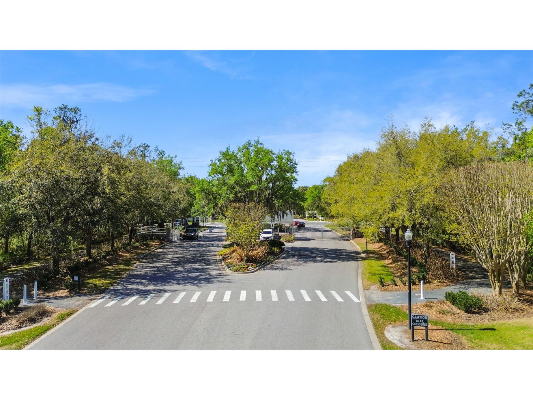 6107 Kingbird Manor Drive Lithia FL 33547 TB8490317 image52