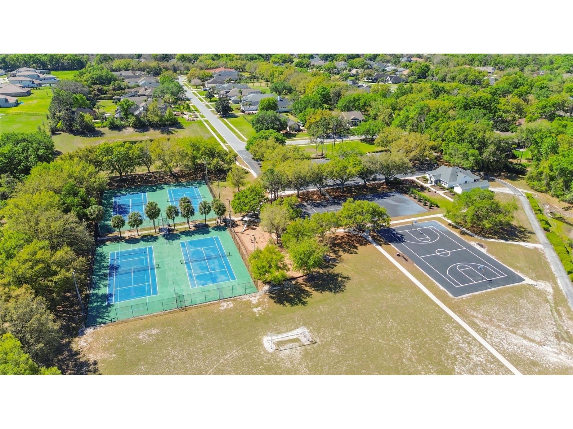 6107 Kingbird Manor Drive Lithia FL 33547 TB8490317 image54