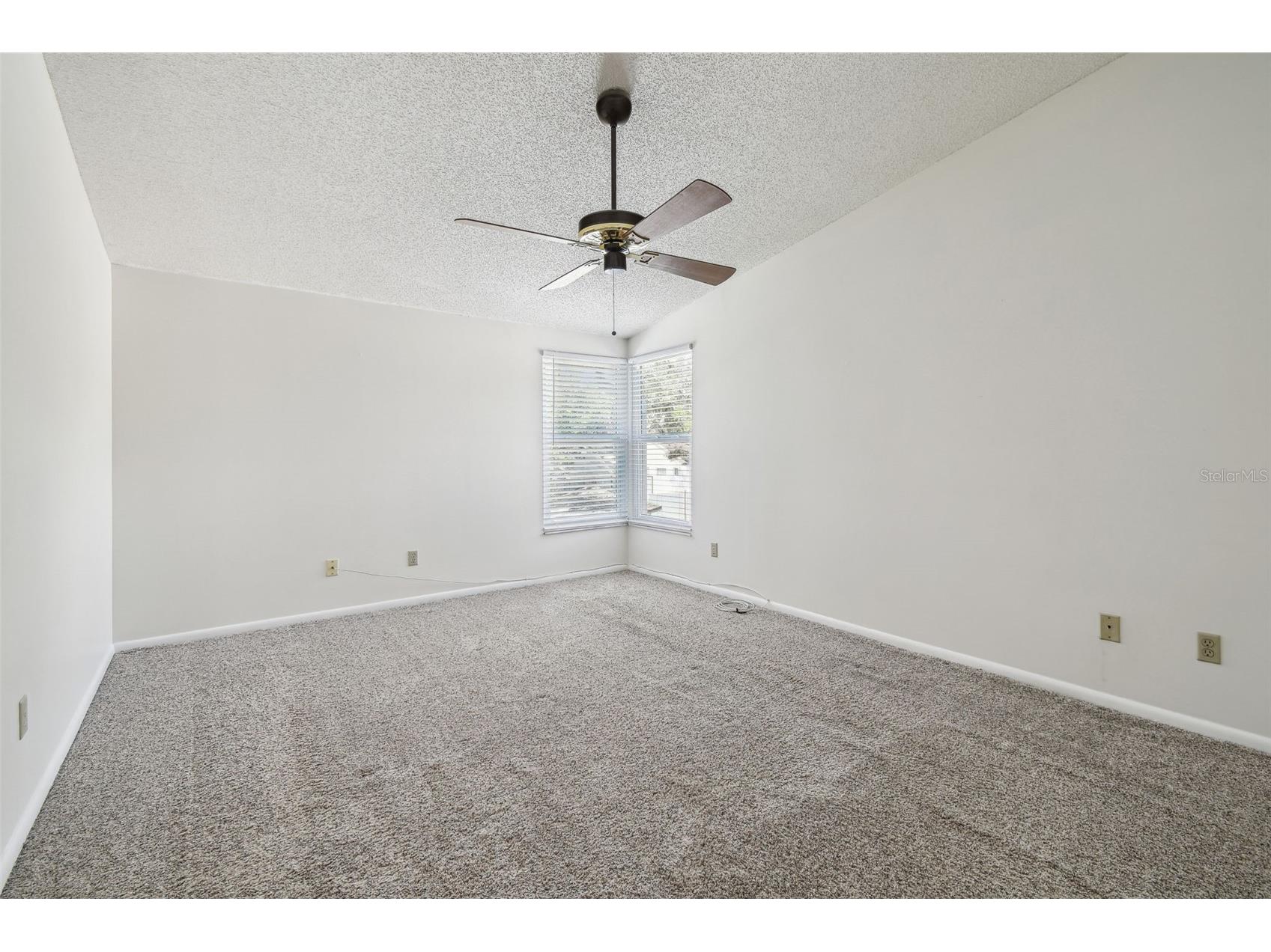 6107 Oak Fern Court Temple Terrace FL 33617 TB8477625 image32