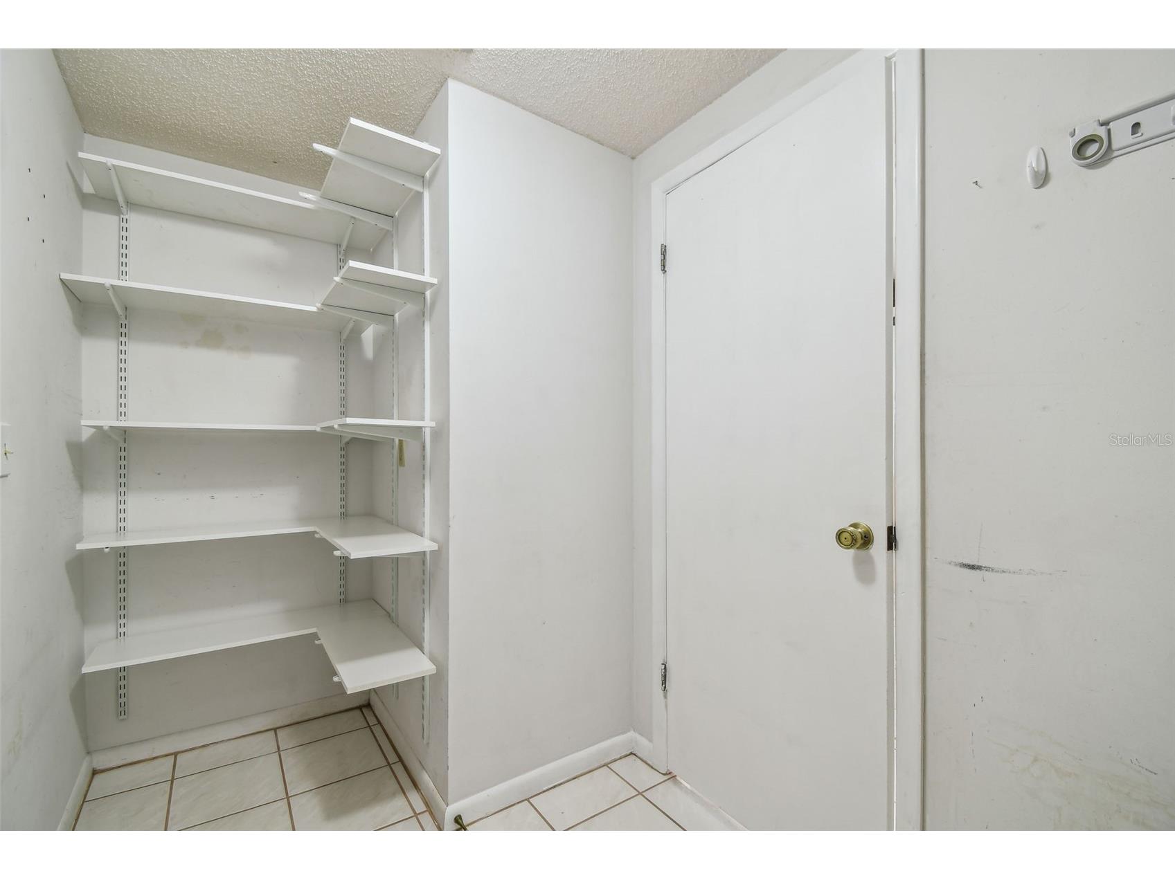 6107 Oak Fern Court Temple Terrace FL 33617 TB8477625 image57