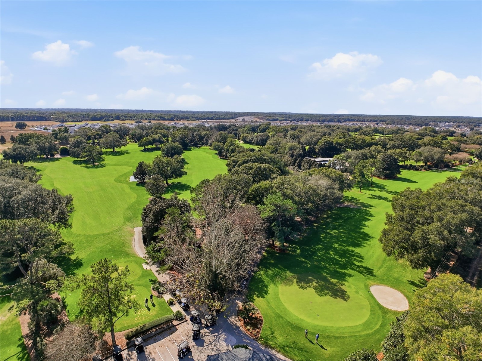 6107 SE Arthur Road Belleview FL 34420 TB8466121 image66