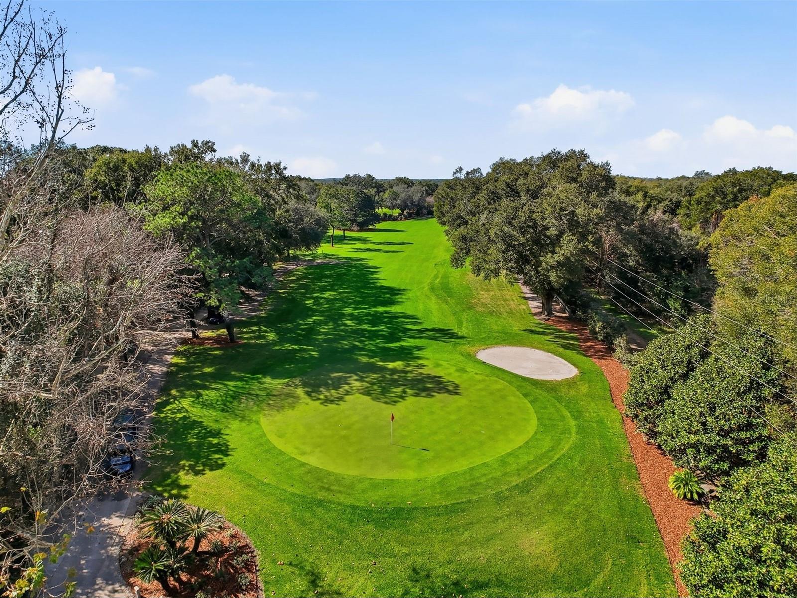 6107 SE Arthur Road Belleview FL 34420 TB8466121 image67