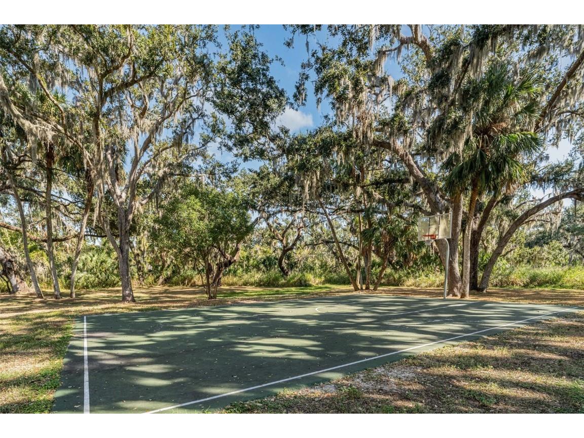 6108 114th Avenue E Parrish FL 34219 A4666339 image33