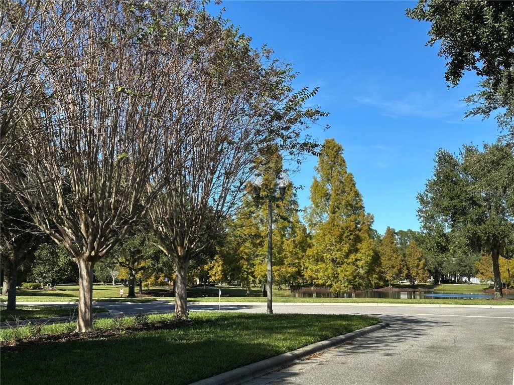 6108 Lewis And Clark Avenue Winter Garden FL 34787 O6358731 image23