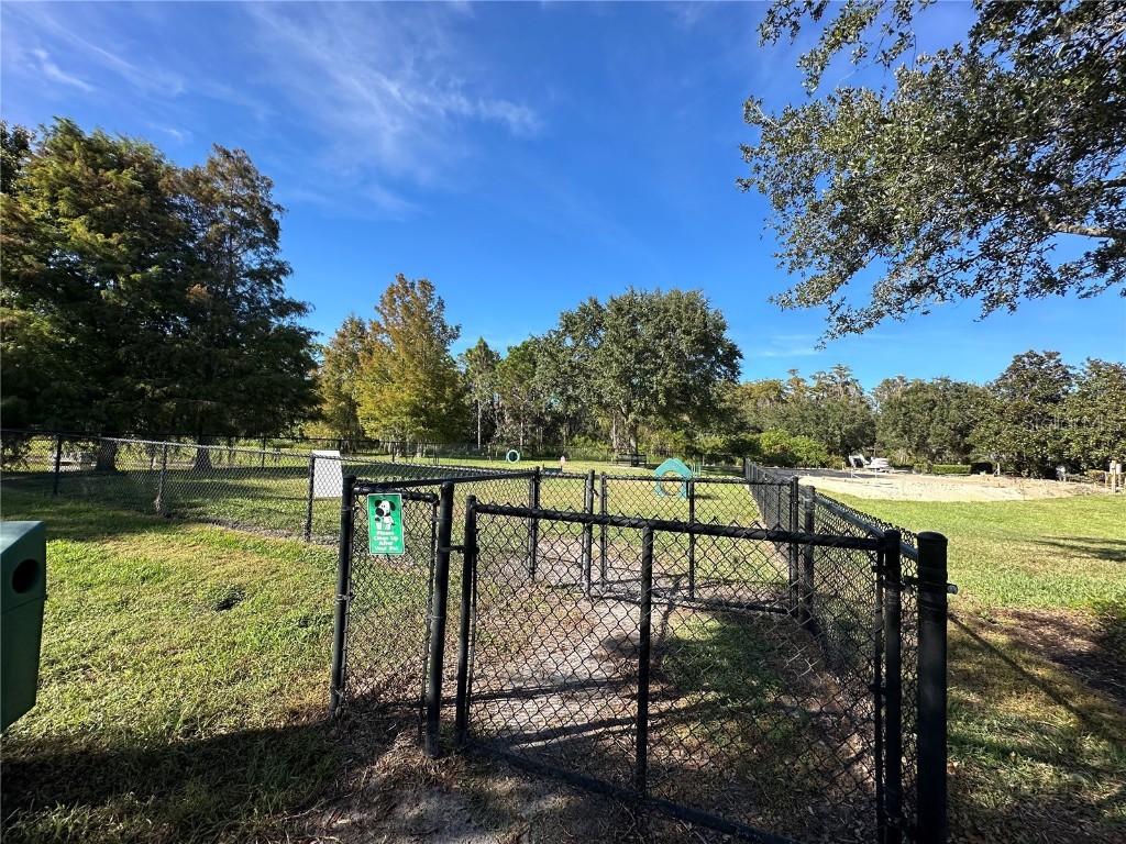 6108 Lewis And Clark Avenue Winter Garden FL 34787 O6358731 image34