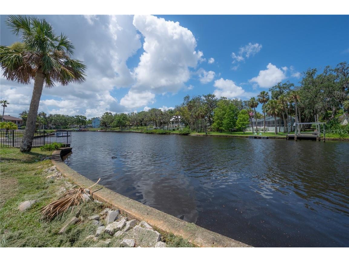 6108 Oak Ridge Avenue New Port Richey FL 34653 TB8399087 image75