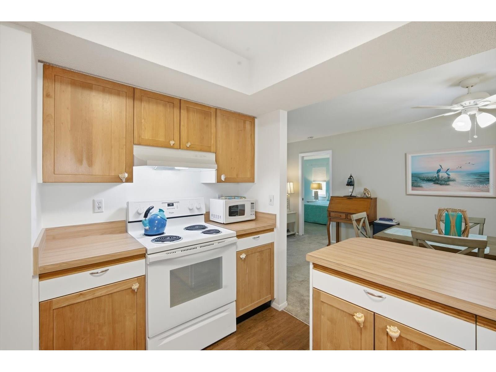 6108 Penny Lane Bradenton FL 34207 A4684798 image4