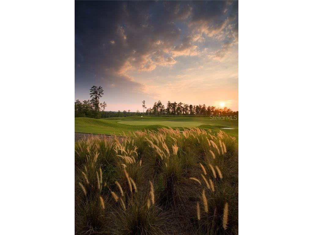 6109 Dusk Rose Lane Brooksville FL 34601 W7869040 image61