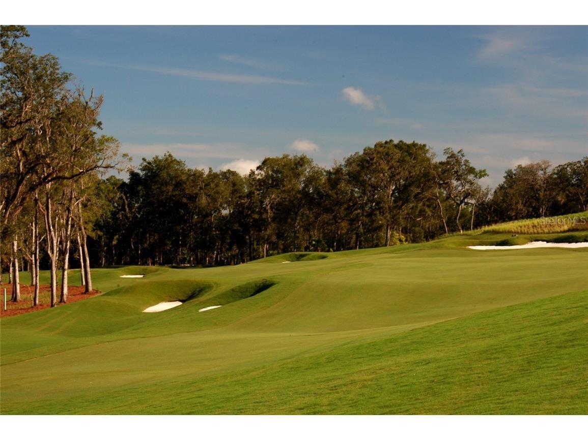 6109 Dusk Rose Lane Brooksville FL 34601 W7869040 image71