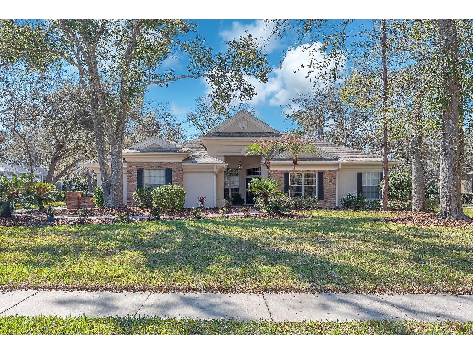 6109 Kingbird Manor Drive Lithia FL 33547 TB8480298 image1
