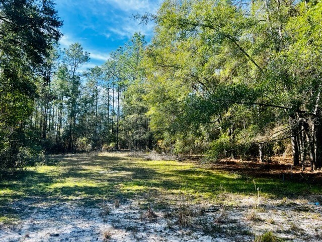 6109 NW 15th Avenue Bell FL 32619 GC518329 image1