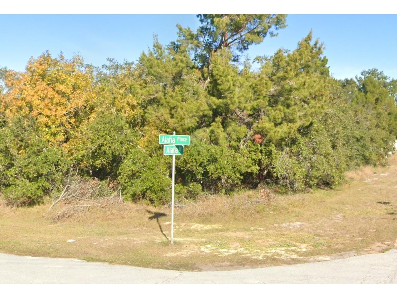 611 Alafia Place Kissimmee FL 34759 O6410318 image4