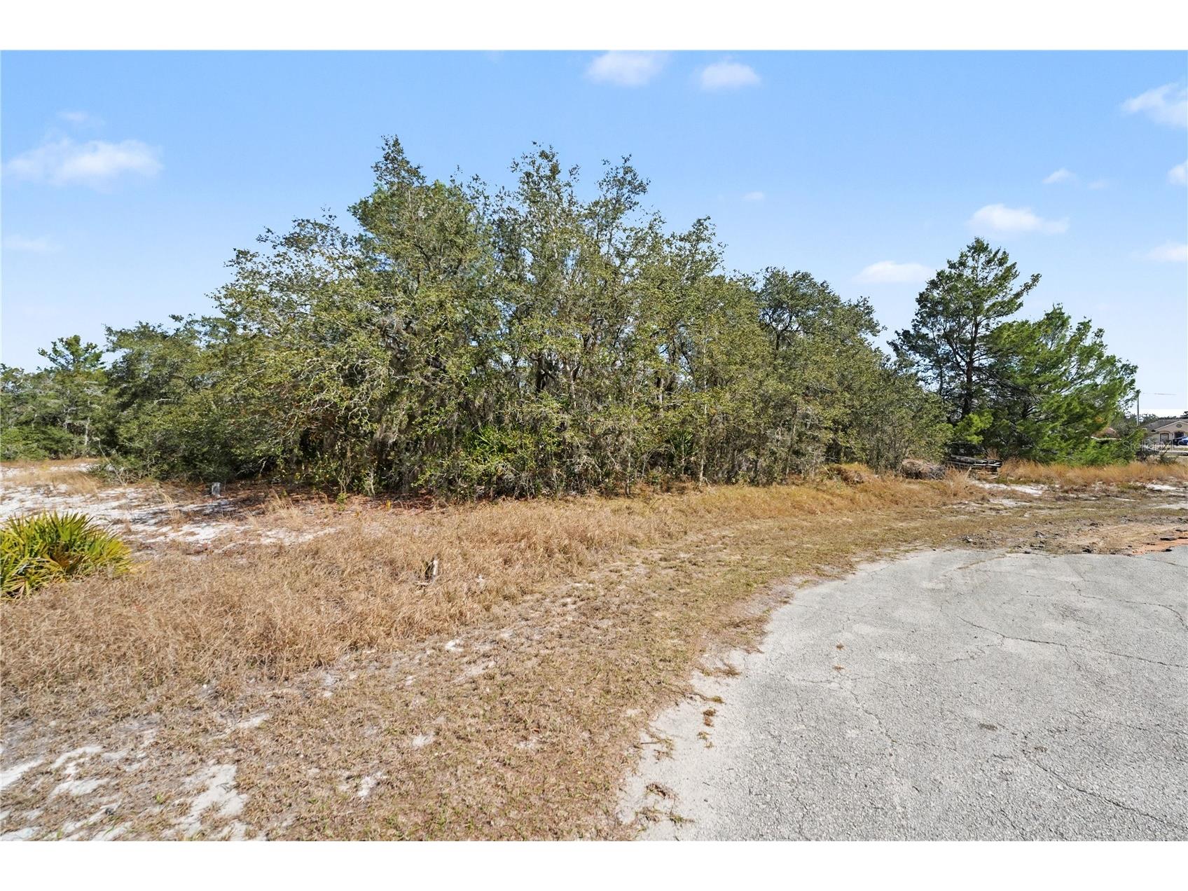 611 Amazon Court Poinciana FL 34759 P4937730 image4