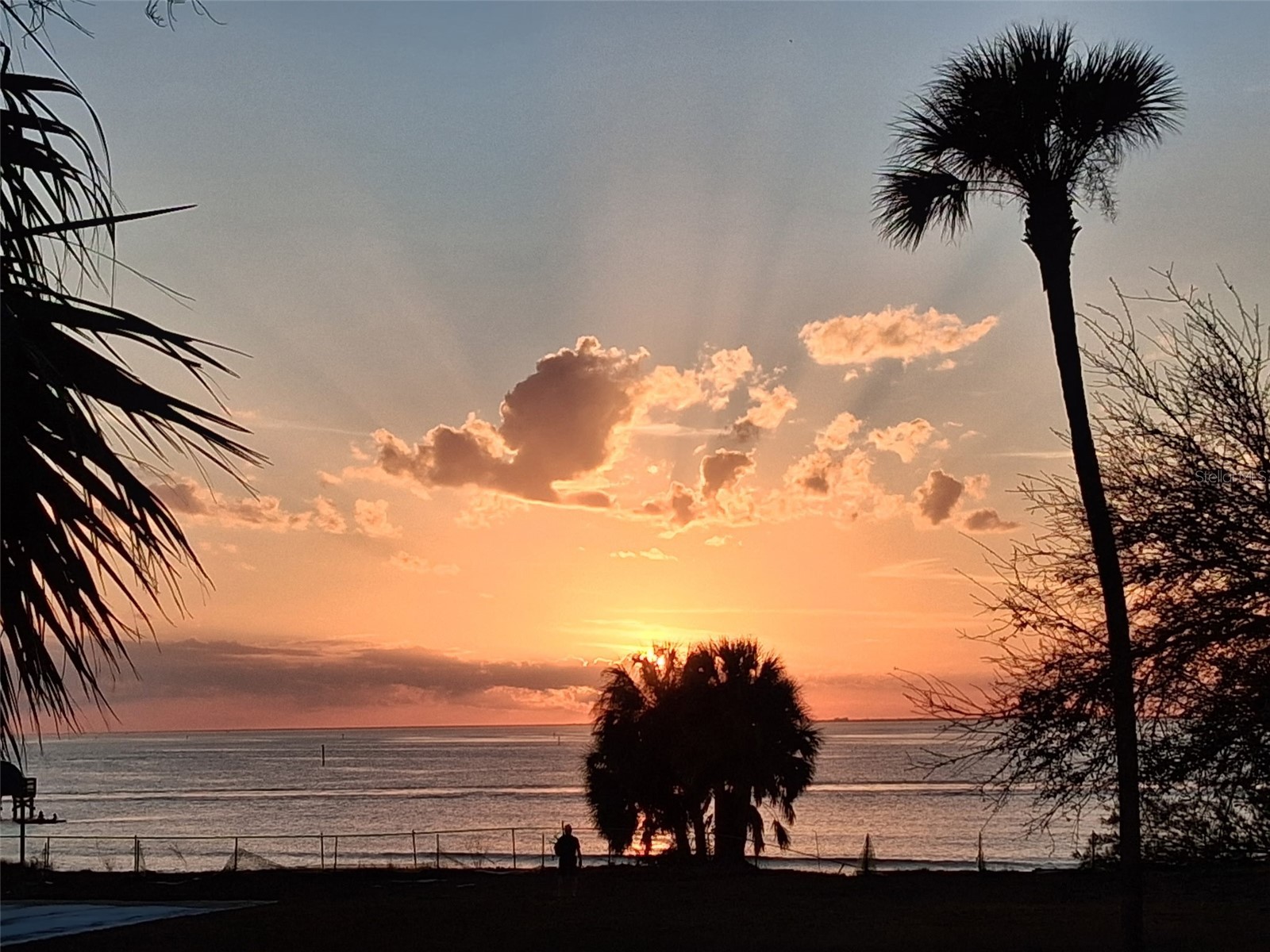 611 B Destiny Drive Ruskin FL 33570 - TAMPA BAY GULF OF AMERICA TB8491871 image5