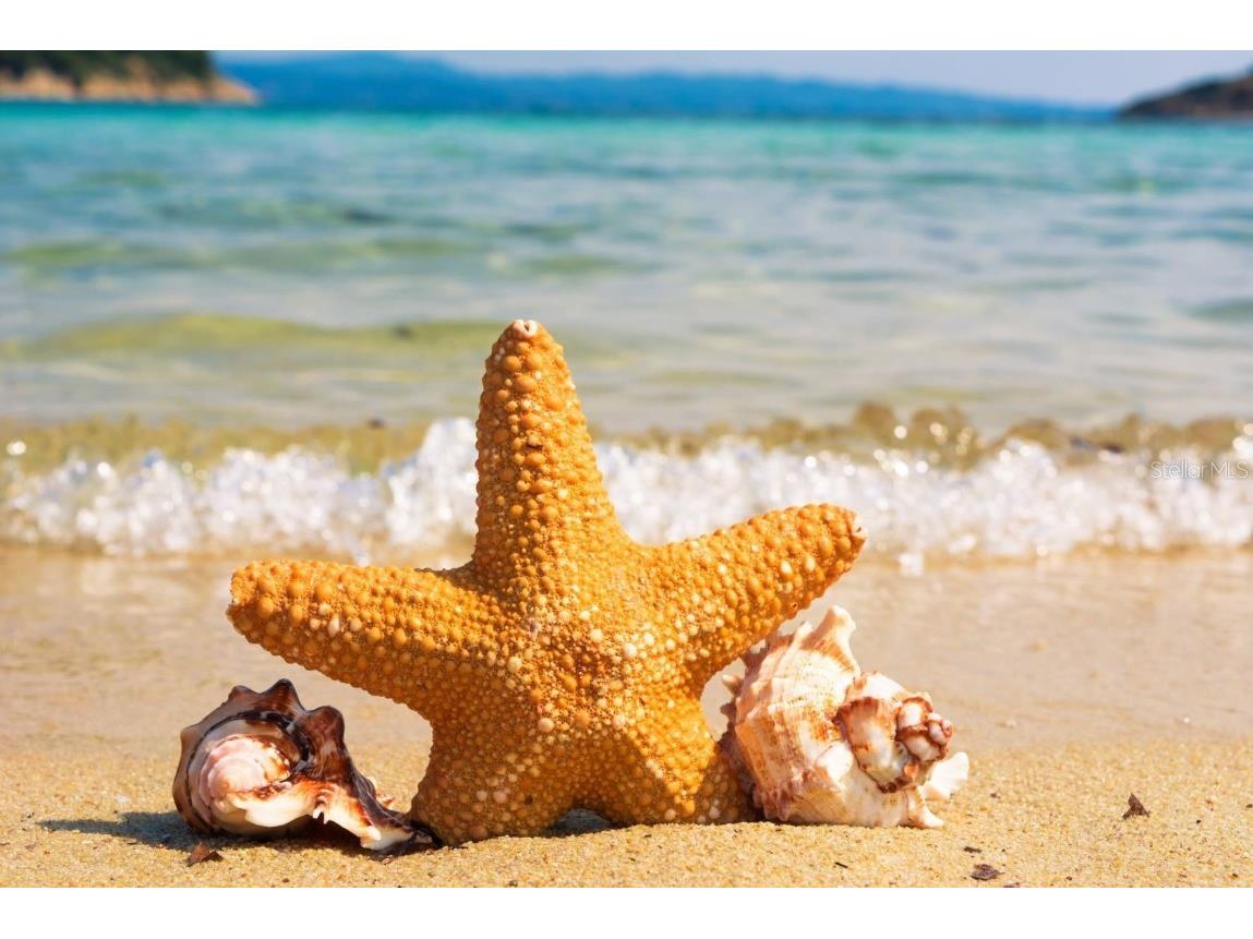 611 Chipper Drive Sun City Center FL 33573 TB8405941 image65