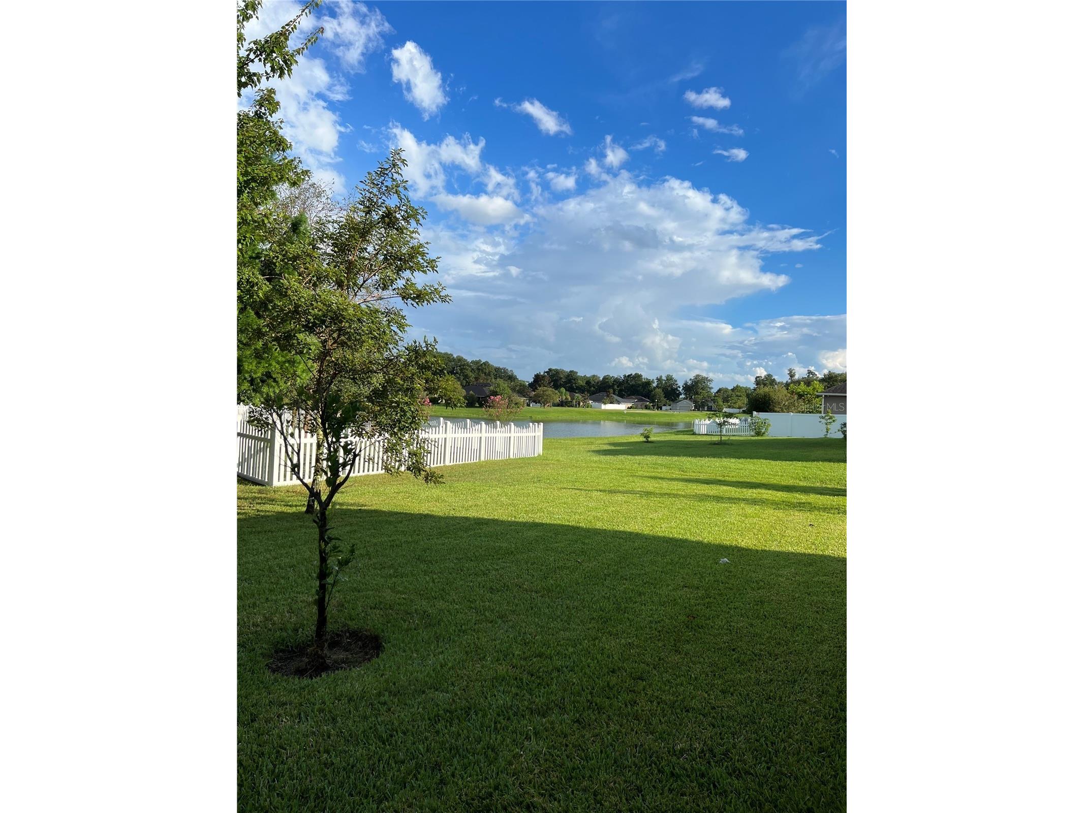 611 Curly Fern Lane Deland FL 32720 O6387838 image4