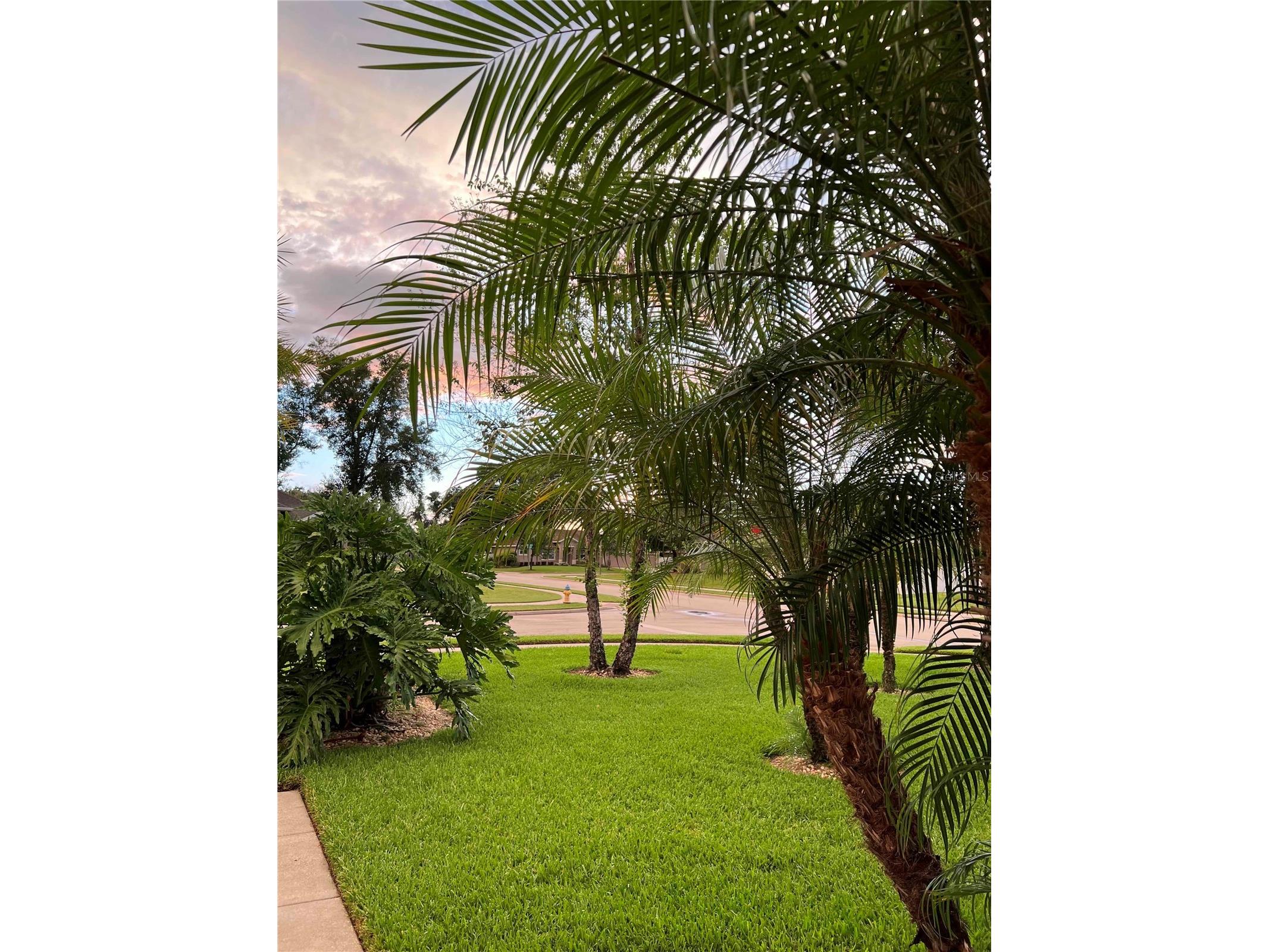 611 Curly Fern Lane Deland FL 32720 O6387838 image8