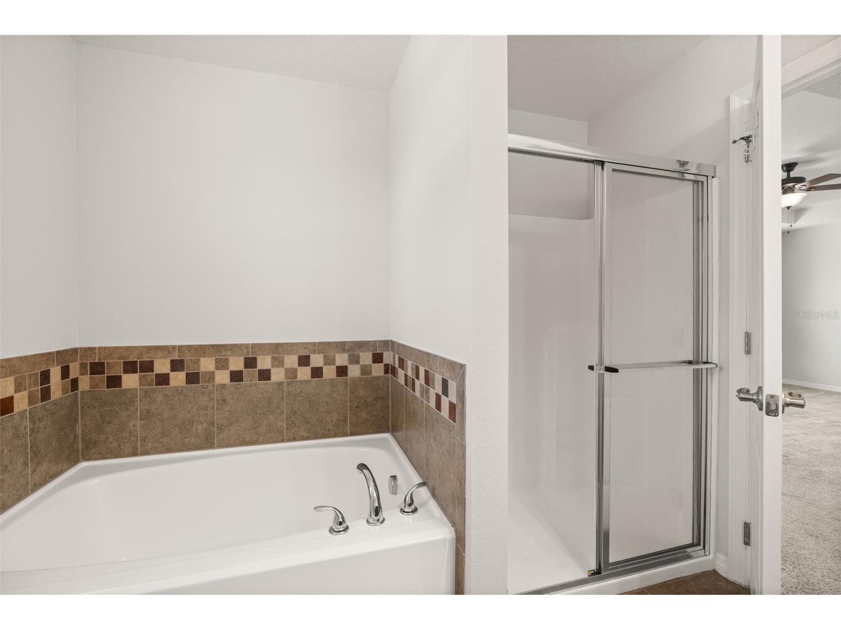 611 Del Pilar Drive Groveland FL 34736 O6406310 image21