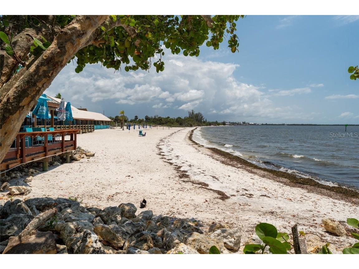 611 Destiny Dr #509 Ruskin FL 33570 TB8390051 image31