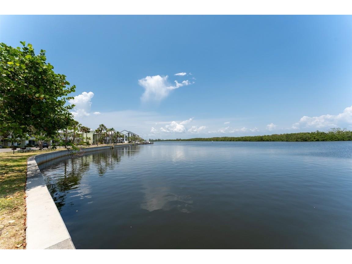 611 Destiny Dr #509 Ruskin FL 33570 TB8390051 image32