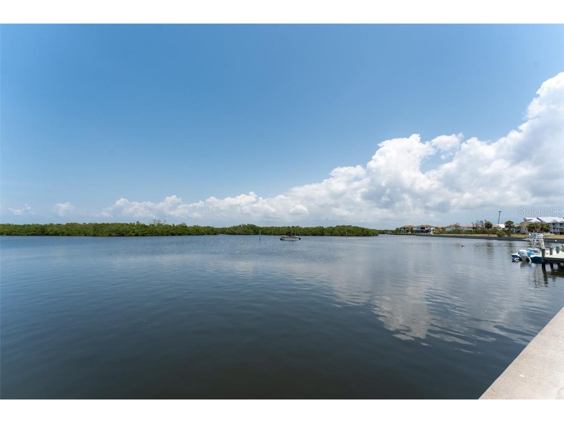 611 Destiny Dr #509 Ruskin FL 33570 TB8390051 image33