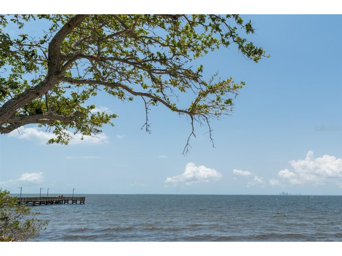 611 Destiny Dr #509 Ruskin FL 33570 TB8390051 image34