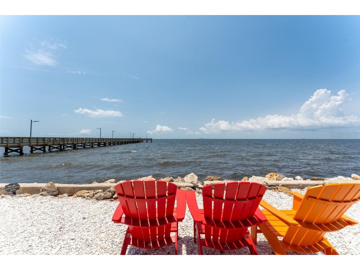 611 Destiny Dr #509 Ruskin FL 33570 TB8390051 image42