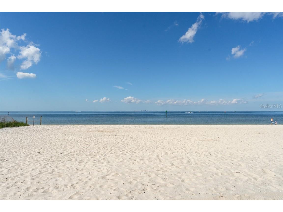 611 Destiny Dr #509 Ruskin FL 33570 TB8390051 image43