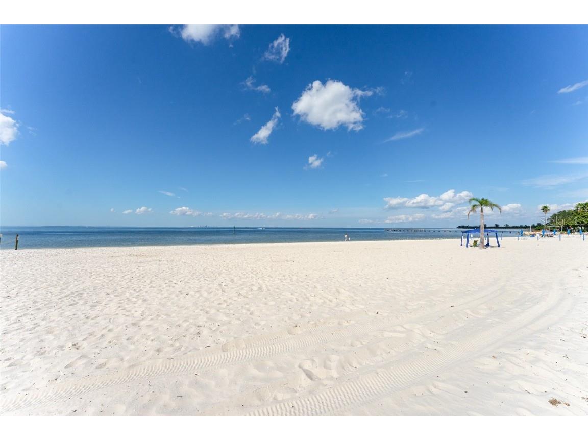 611 Destiny Dr #509 Ruskin FL 33570 TB8390051 image44